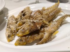 -驻海渔市(置信店)