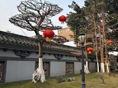 -乐山乌木文化博览苑