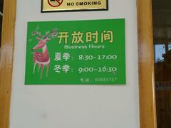 -北京鹿世界主题园