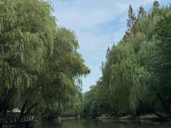 -同里国家湿地公园