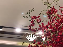 -望湘园·小雅(德基店)