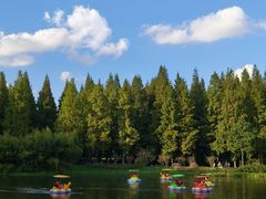 -黄海国家森林公园