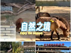 -杭州野生动物世界