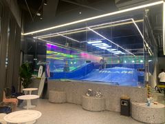 -INLANG饮浪室内冲浪(苏河湾万象天地店)