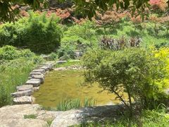 -天河潭旅游度假区