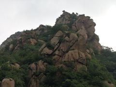 -大岭沟猕猴桃谷风景区