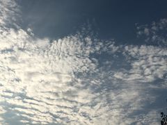 -海底捞火锅(公益西桥店)