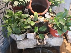 -好嫂子(五里坨店)