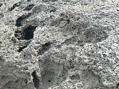 -涉地可支
