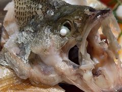 -佬麻雀·剁椒鱼头(京基KK One店)