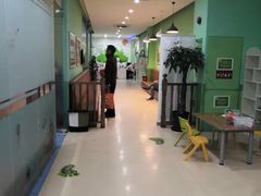 -小问号·科学启蒙·逻辑思维·阅读素养·口才演讲(杨浦合生汇中心)