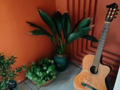 -树咖啡tree coffee