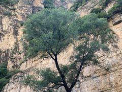 -龙门涧景区