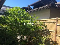 -中村藤吉(本店)