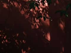 -钱王祠