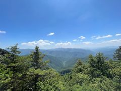 -牛背梁国家森林公园