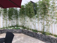 -望海·帆船主题咖啡厅•品茗下午茶(石湖景区店)