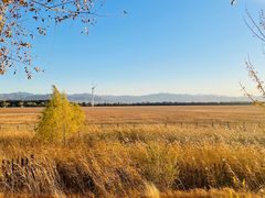 -野鸭湖国家湿地公园