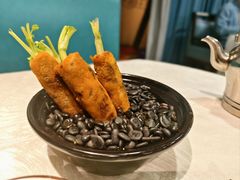 -丁老爷子苏香圆