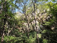 -大岭沟猕猴桃谷风景区