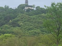 -苏州上方山国家森林公园