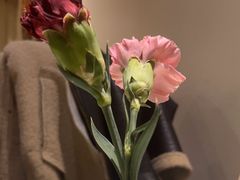 -茶花妹子云南餐厅(传媒大学店)