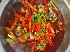 鲜椒美蛙-三哥田螺(北书院街店)