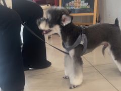 -艾贝尔宠物医院 ·中兽医·宠保定点(北门桥店)