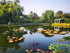 -国家植物园南园