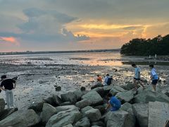 -宝安西湾红树林湿地公园