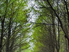 -苏州太湖国家湿地公园