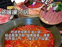 -成都欢乐谷
