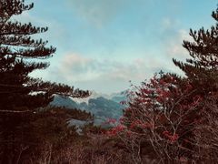 -黄山风景区