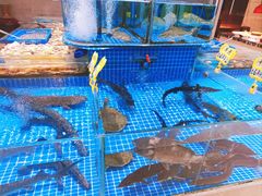 -鸿腾国际大酒店-海鲜姿造海鲜烤肉自助餐