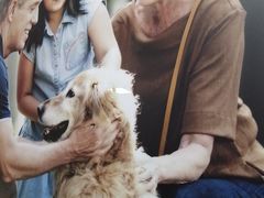 -安湃声助听器(密云店)