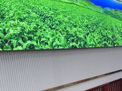 -日月永和中国餐饮名店(凤凰店)