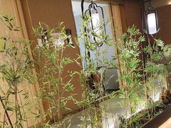 -宏宴·新京菜(望京店)