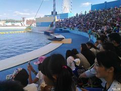 -秦皇岛乐岛海洋王国