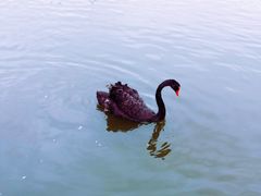 -乐和乐都主题乐园