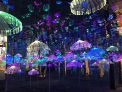 点击看大图 -萌兔星空蹦床撸兔馆