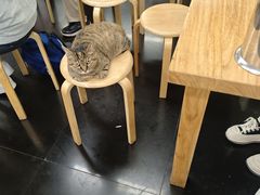 -龙华素斋(龙华路店)