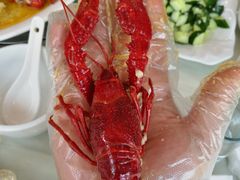 -盱眙红叶龙虾(金源北路店)