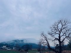 -塔川景区