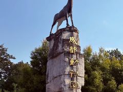 -半岛宠物医院24小时(科华中路店)