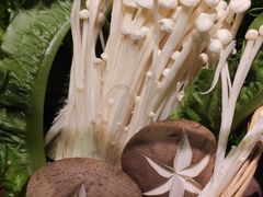 -同仁四季椰子鸡(海岸城天利店)