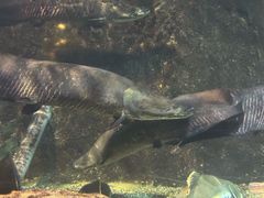 -太平洋海底世界