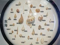 -海合安青岛极地海洋公园