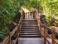 -广州白江湖森林公园