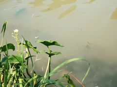 -杭州城北体育公园