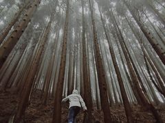 -山王坪喀斯特国家生态公园
